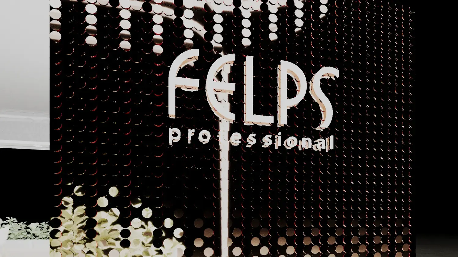 Felps Beauty 2024: uma presença capilar com foco em produto e técnica - imagem 1