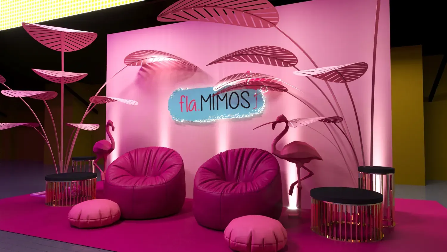 Dailus fla.MIMOS: beleza tropical em lançamento colorido e fotogênico - imagem 6