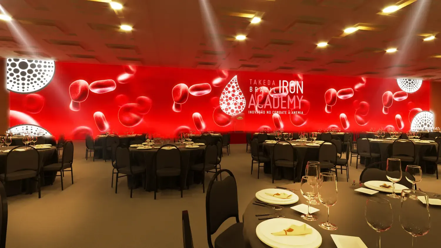 Takeda Iron Academy: ciência, anemia e encontro em atmosfera quente - imagem 3